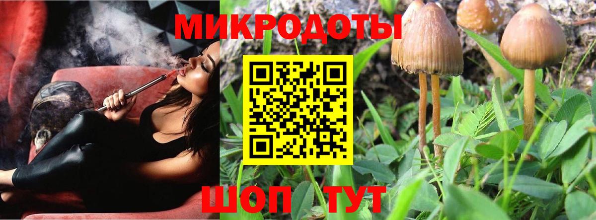 Артёмовский  Галлюциногенные грибы Psilocybe  Вход с VPN 